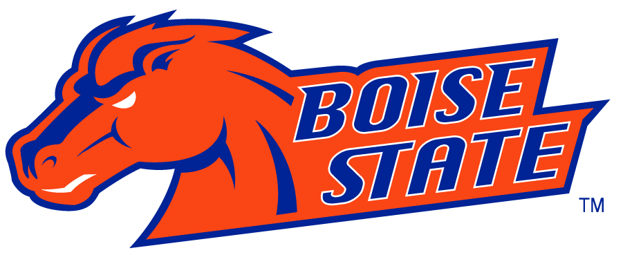 Boise State Broncos 2002-2012 Secondary Logo v15 diy DTF decal sticker